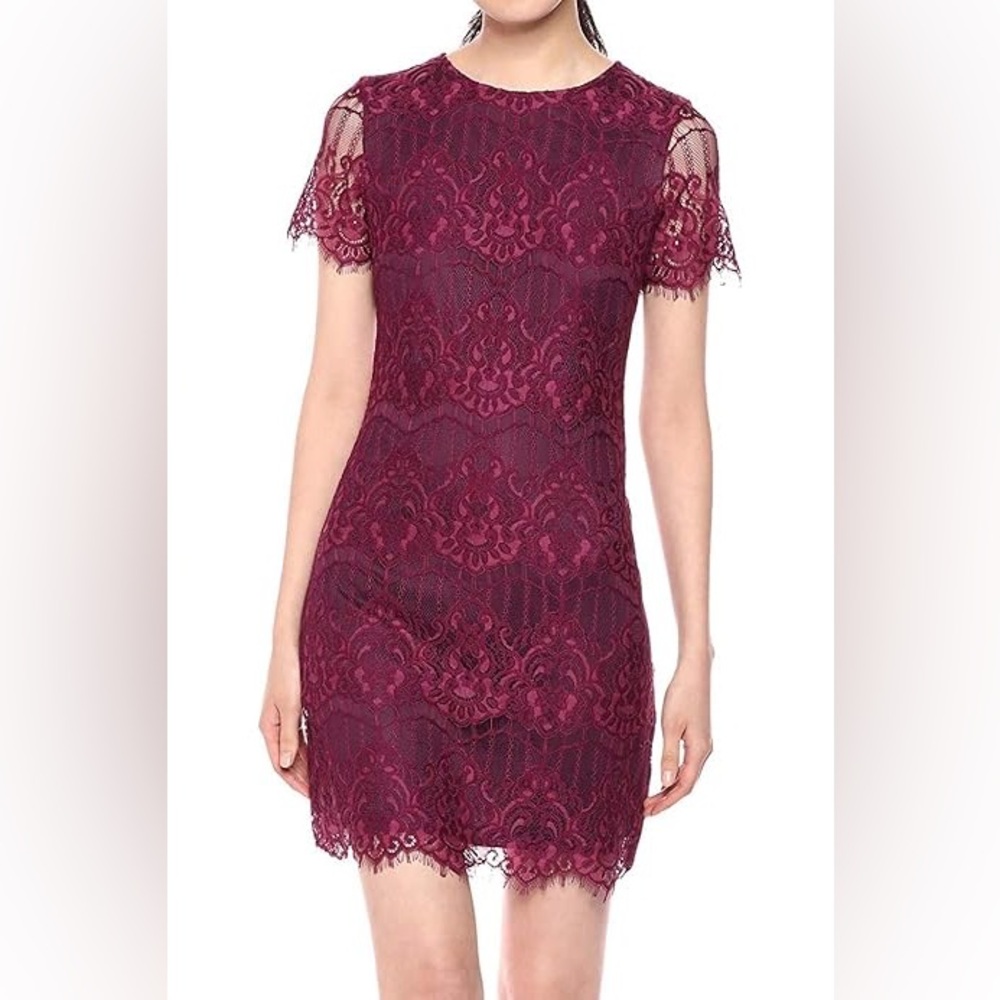 NWT Kensie Lace Dress